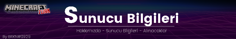 Sunucu Bilgileri - alım.png
