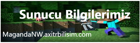 Sunucu Bilgileri.jpg