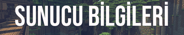 Sunucu Bilgileri.png