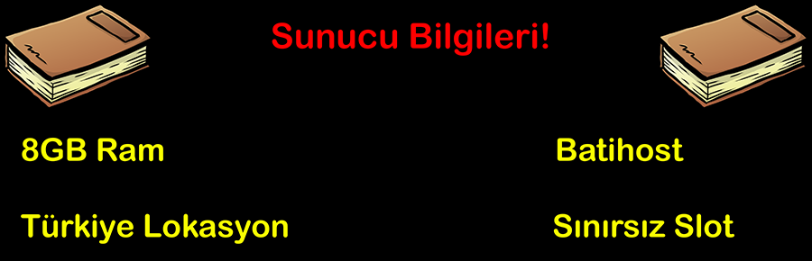 Sunucu Bilgileri1231.png