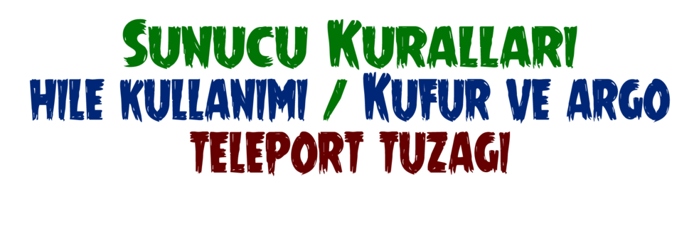 sunucu kuralları.png