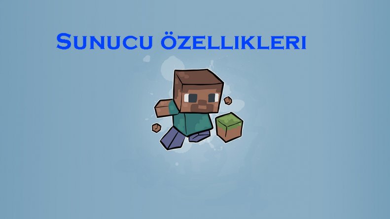 sunucu özellikleri.jpg