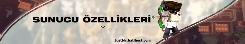 Sunucu özellikleri.png