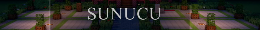 sunucu.png