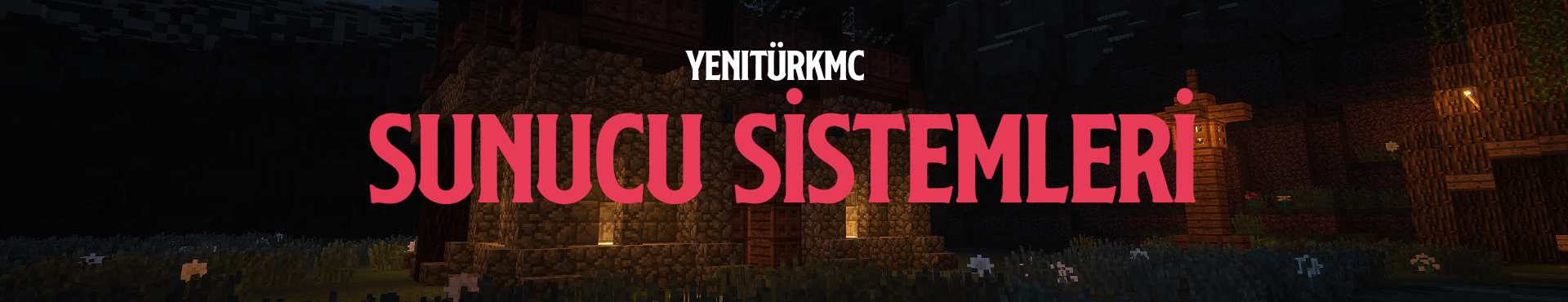 sunucu sistemleri.png