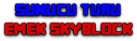 Sunucu-Turu.png