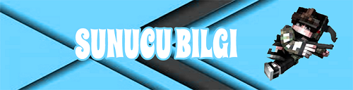 Sunucu_Bilgi.png