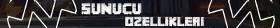 Sunucu_ozellikleri.jpg