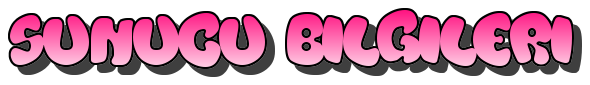 sunucubilgileri.png