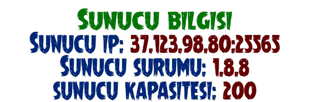 sunucubilgisi.png