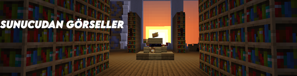 sunucudan_gorseller_adam_gsibi.png