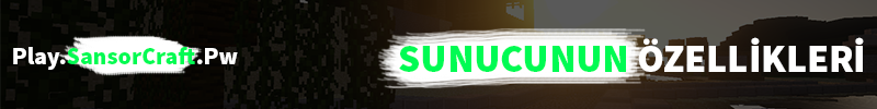 Sunucunun Özellikleri.png