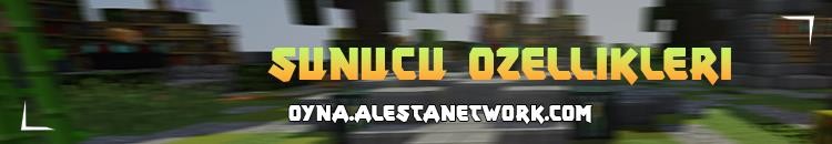 sunucuozellikleri.jpg