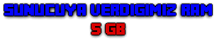 Sunucuya-verdigimiz-Ram.png