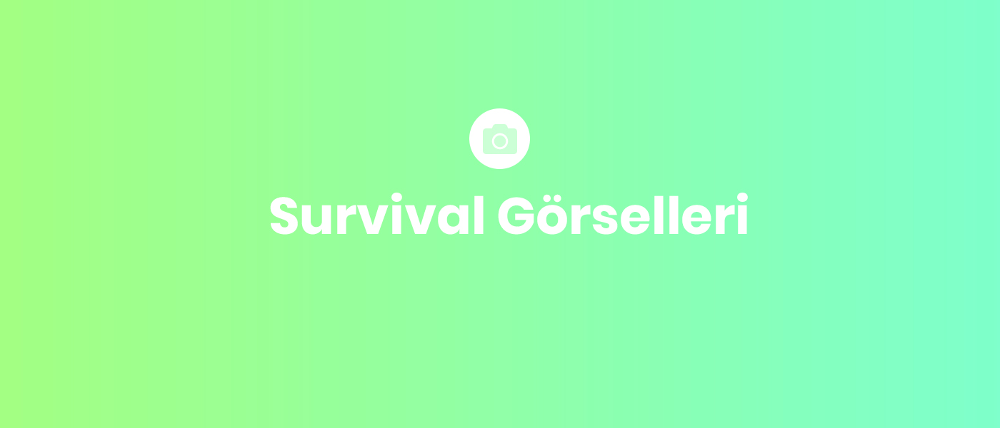 Survival Görselleri.jpg