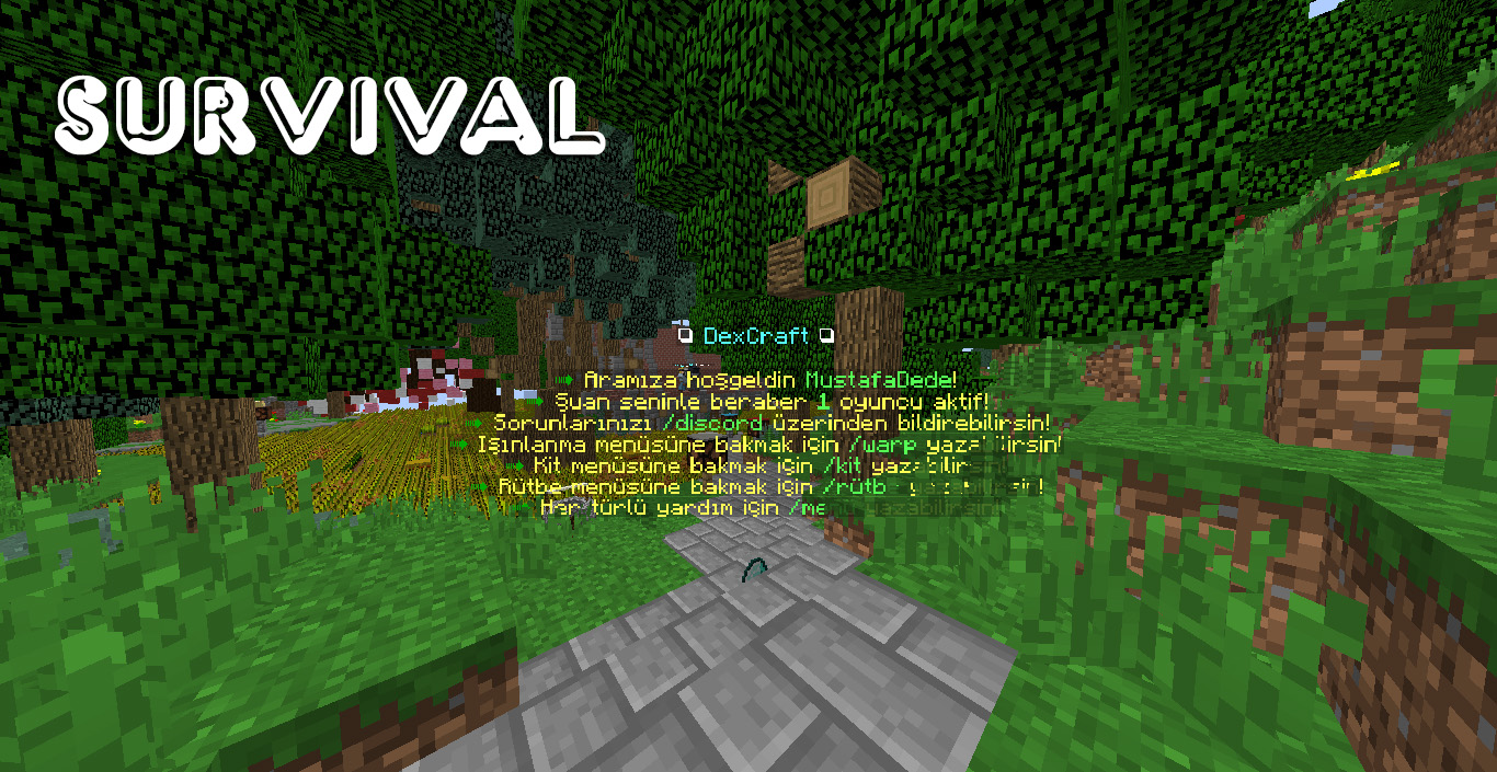 survival spawn.jpg