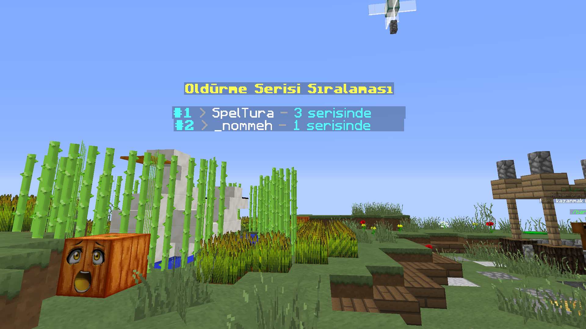 sw2.png
