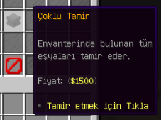 tamir3.png