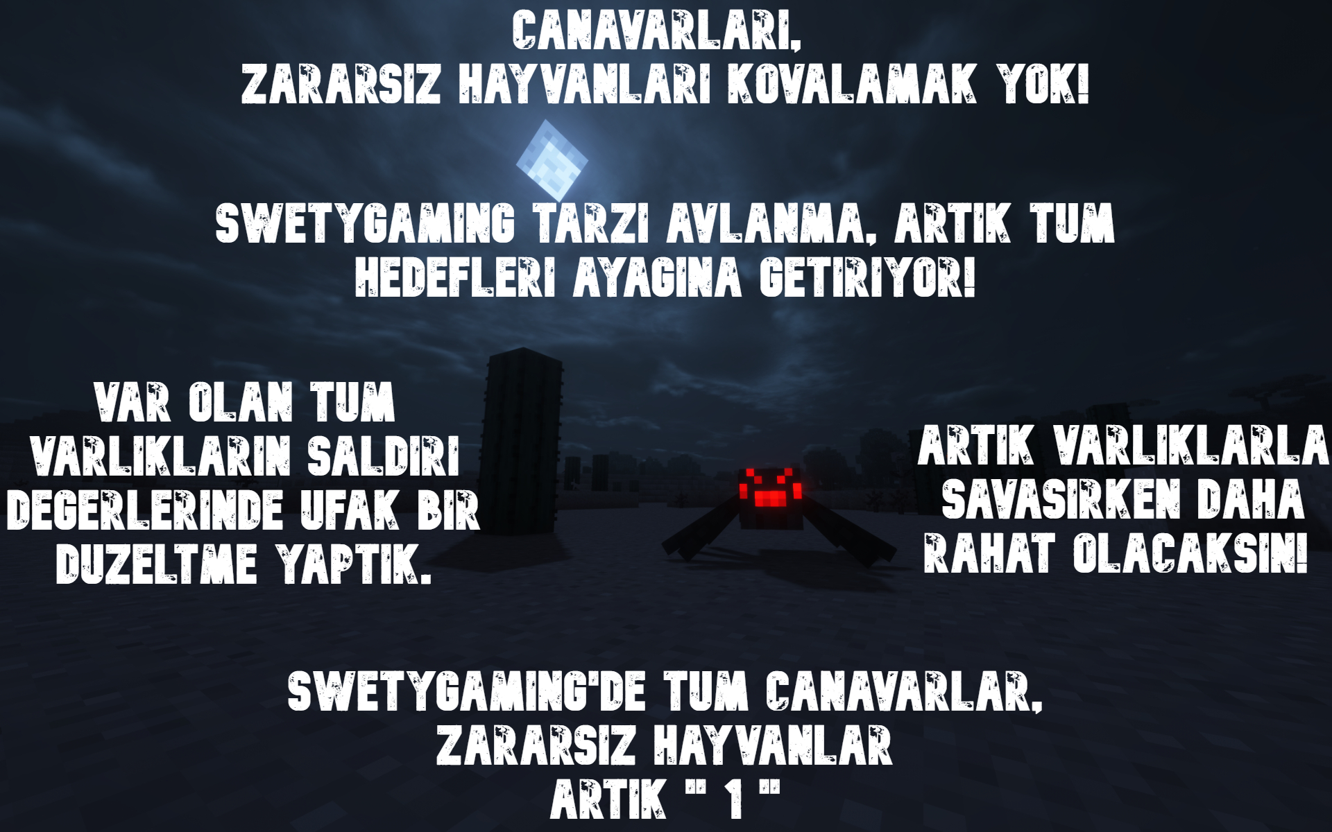 Tanıtım4.jpg