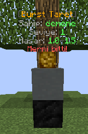 151456