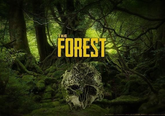 the-forest-jpg.145757