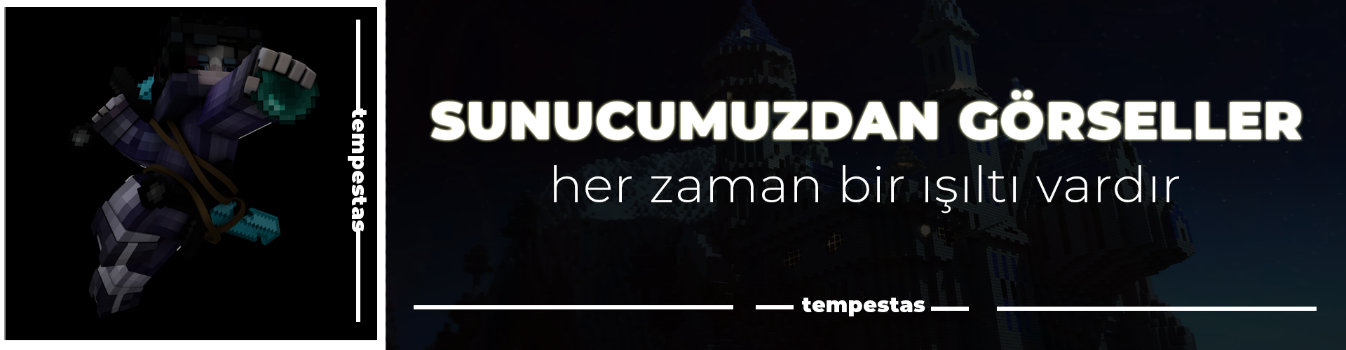 tnw-4.png