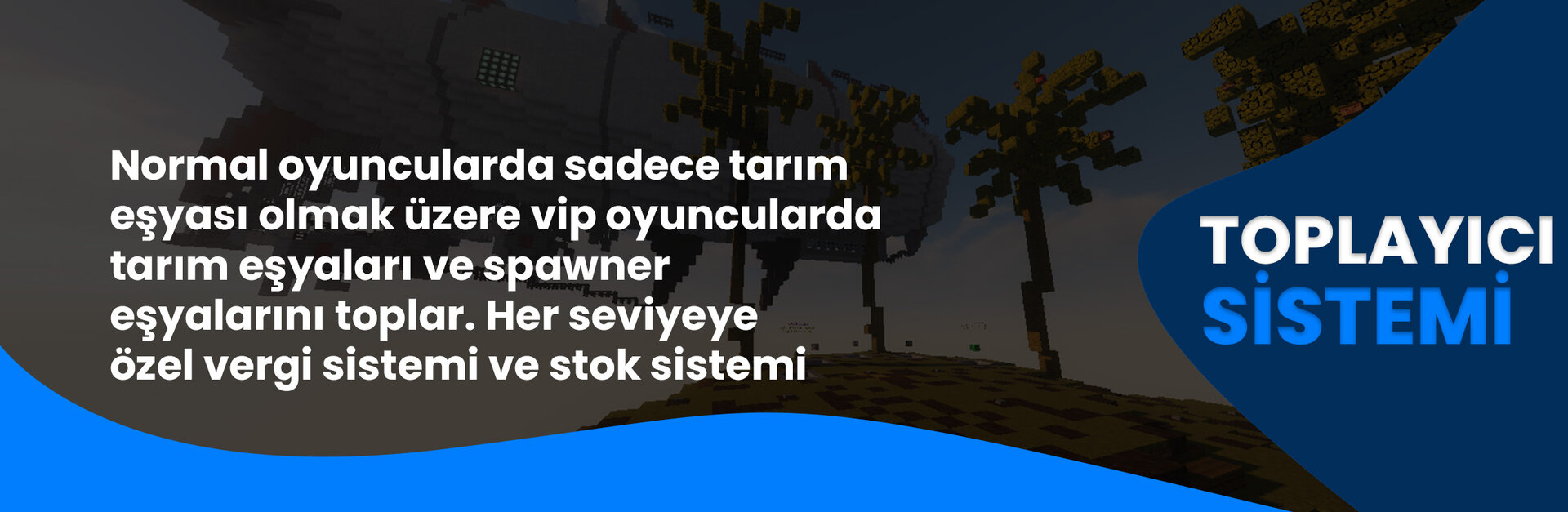 TOPLAYICI.jpg
