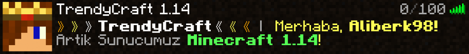 119074