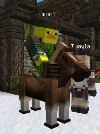unknown-6.png