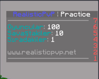 133303