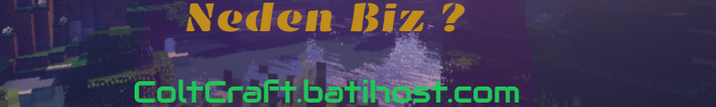 Untitled 1 (6).png