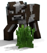Untitled.png