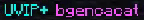 119518