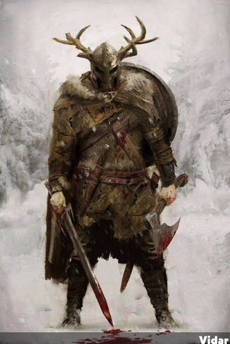 vidar.png