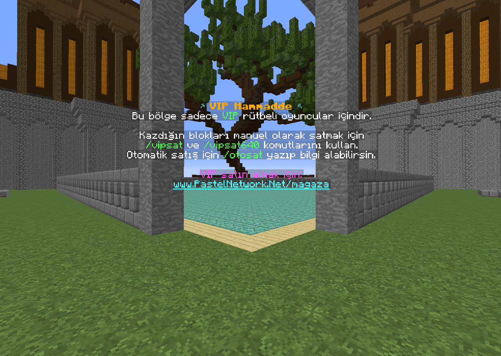 Vip.png