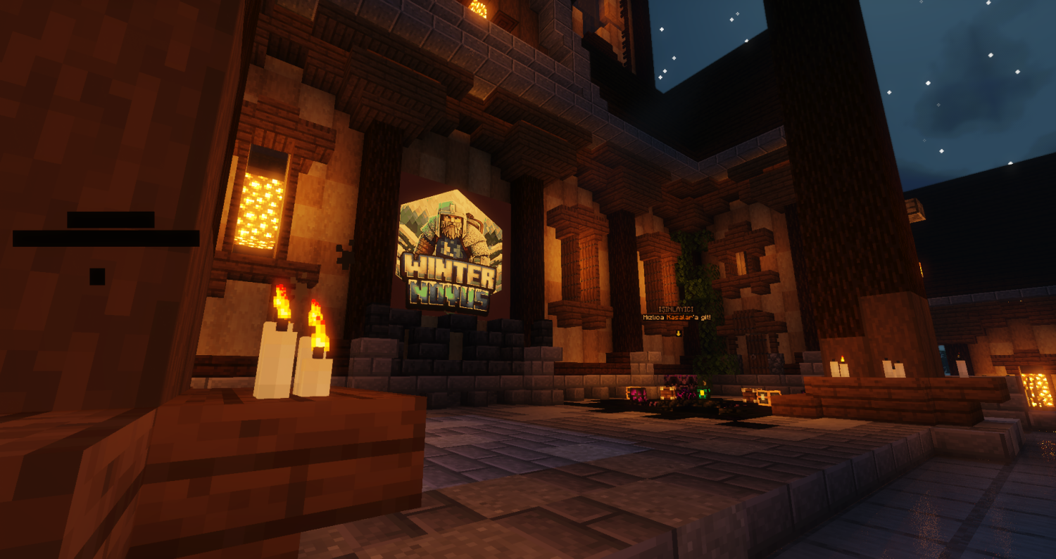WinterNovus Towny Logo.png