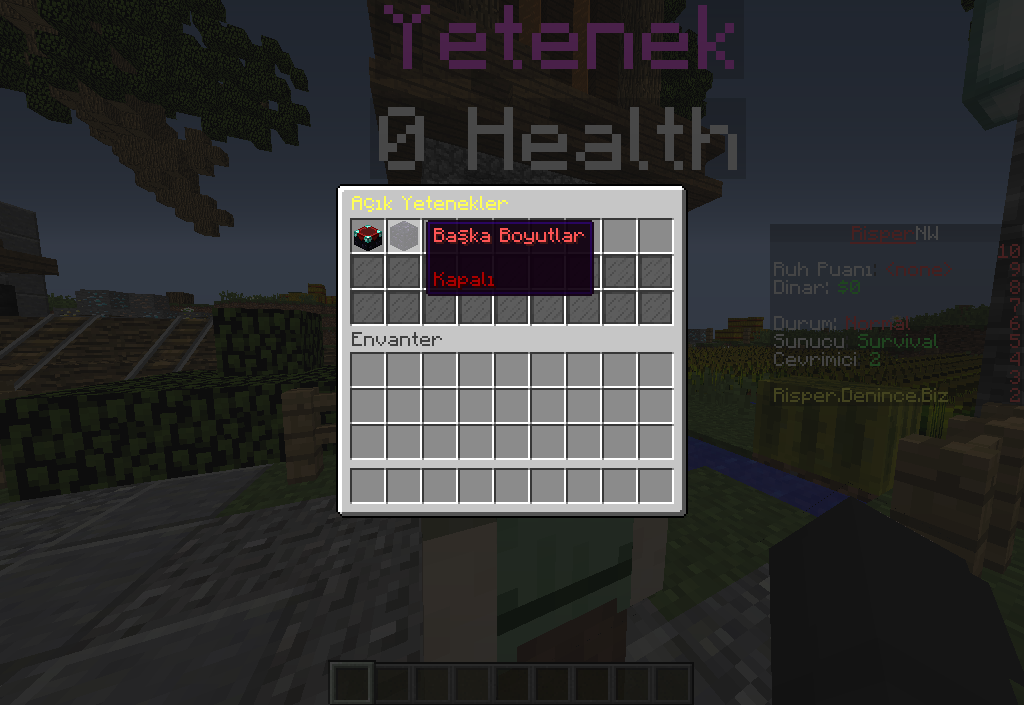 Yetenek.png