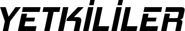 yetki.png