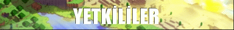 147334