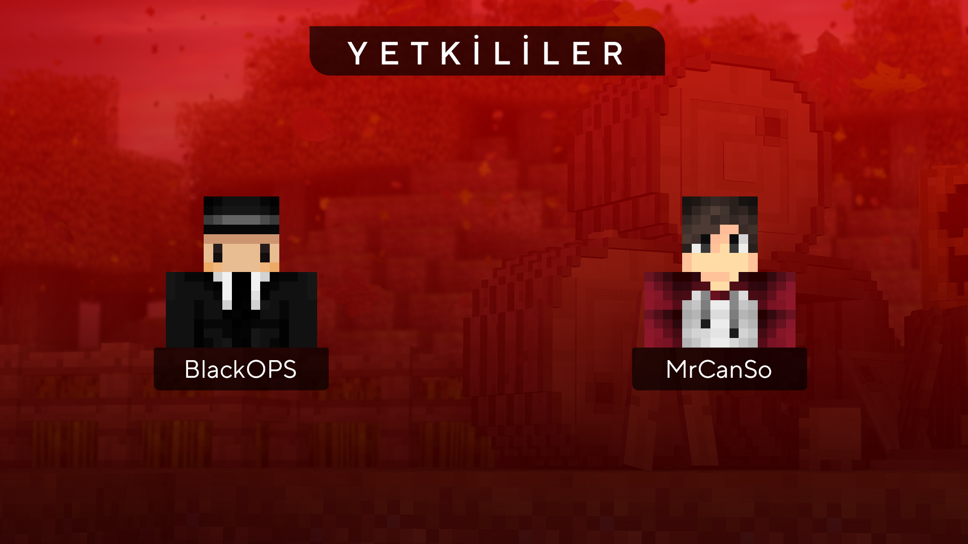 yetki1.jpg