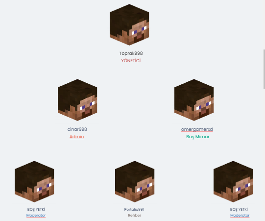 Yetkiler.PNG